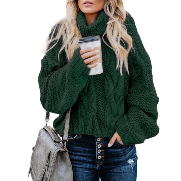 Chunky Turtleneck Sweaters Balloon Long Sleeve Oversized Pullover Sweater - Picture 1 of 6